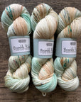 The Price of Eggs - DK 85/15 SW Merino/Nylon