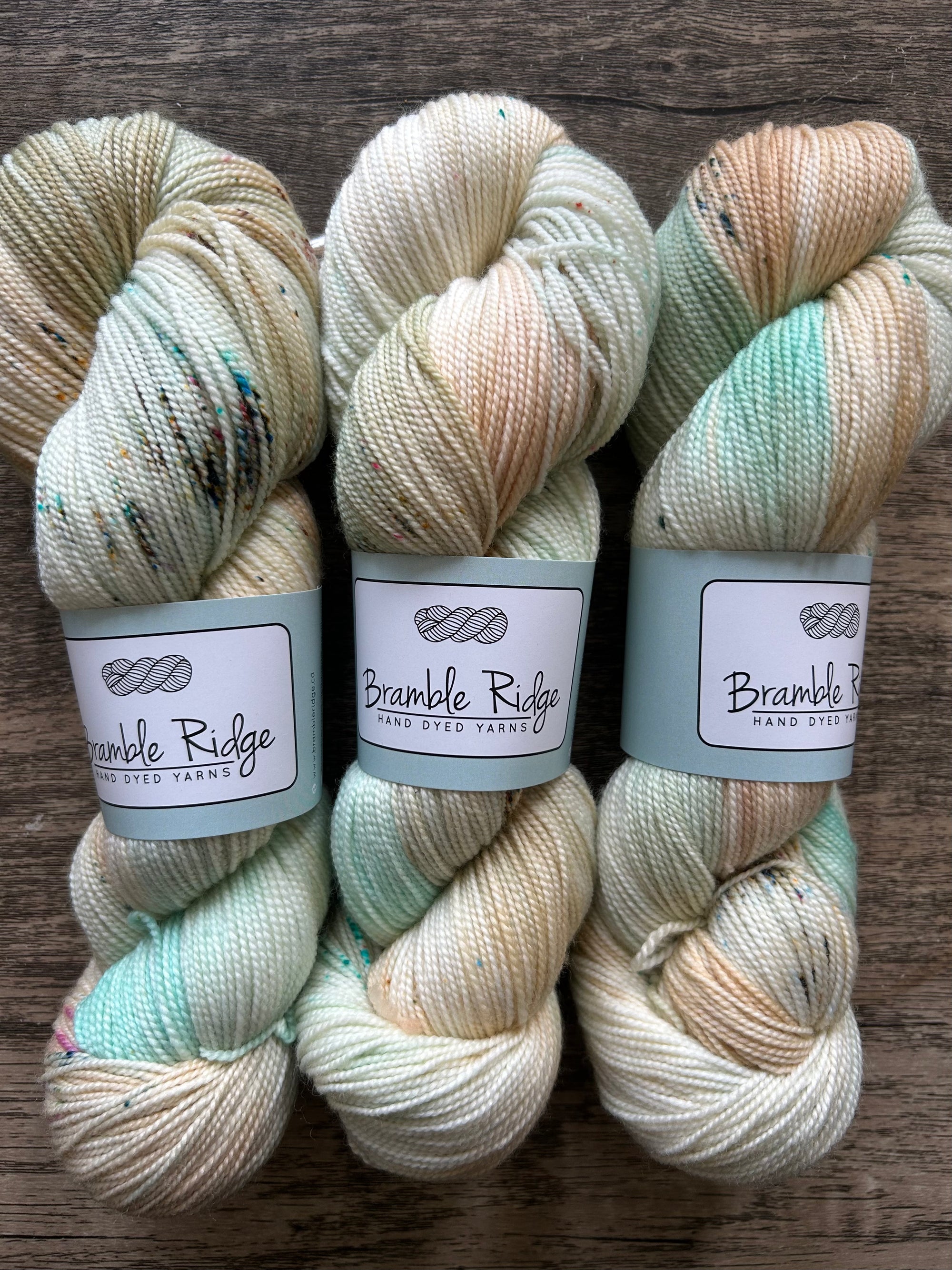 The Price of Eggs - High Twist Sock (85/15 Superwash Merino/Nylon