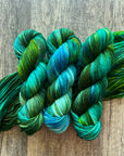 Kelp Forest - DK 85/15 SW Merino/Nylon