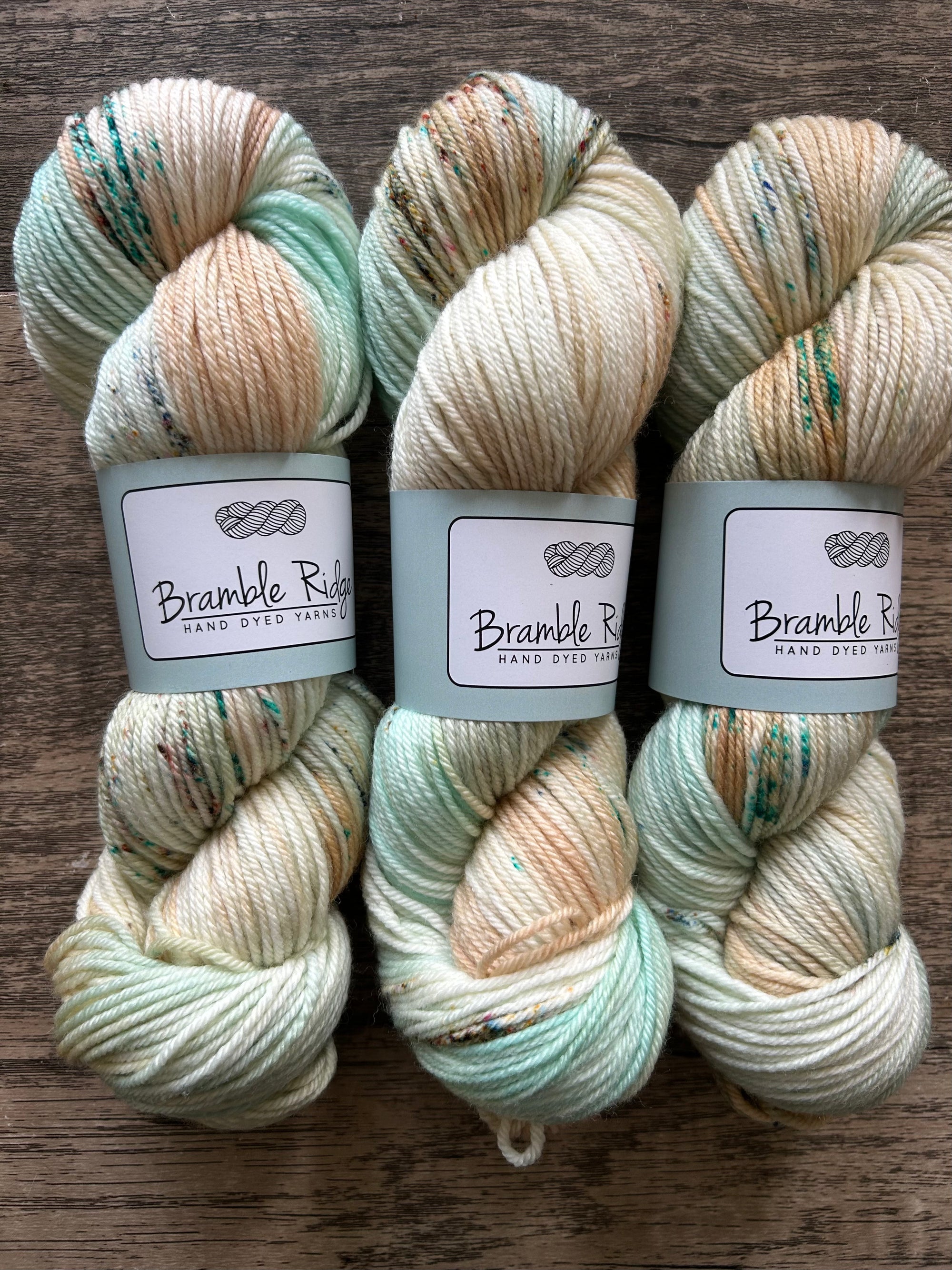 The Price of Eggs - DK 85/15 SW Merino/Nylon