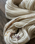 Vanilla Spice - DK 85/15 SW Merino/Nylon