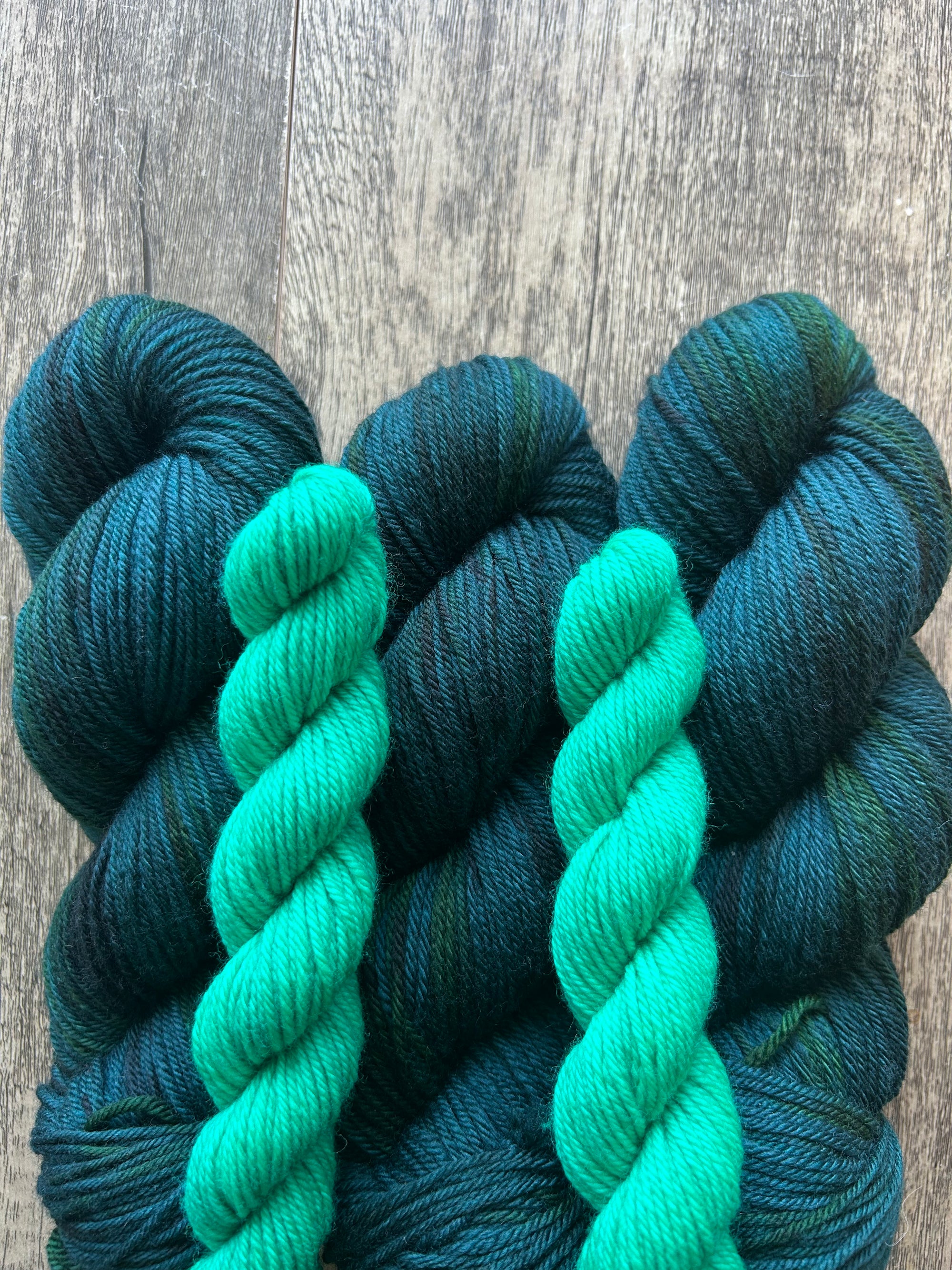 Bird Brain - DK Sock Set