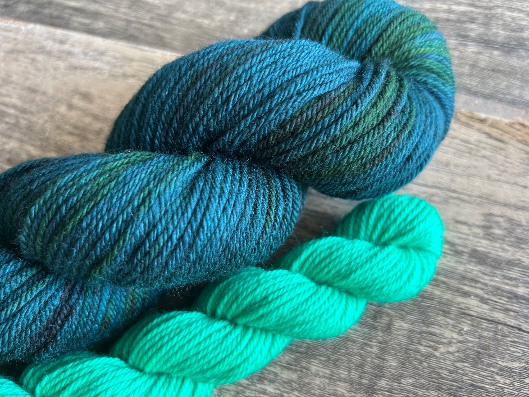 Bird Brain - DK Sock Set