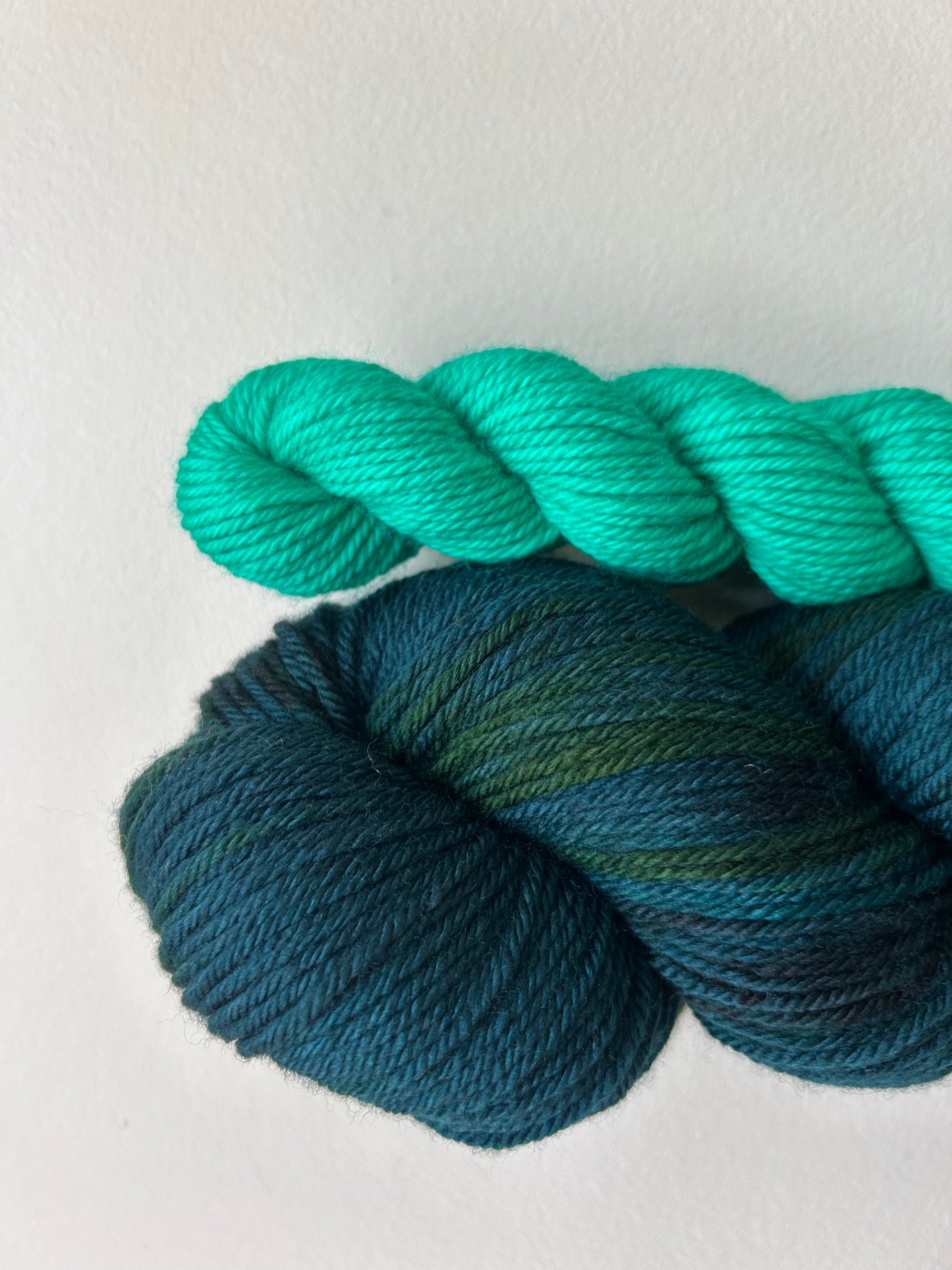 Bird Brain - DK Sock Set