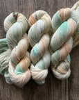 The Price of Eggs - High Twist Sock (85/15 Superwash Merino/Nylon