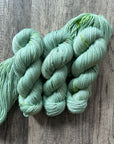 Foliage - DK 85/15 SW Merino/Nylon