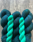 Bird Brain - DK Sock Set