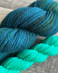 Bird Brain - DK Sock Set