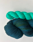 Bird Brain - DK Sock Set