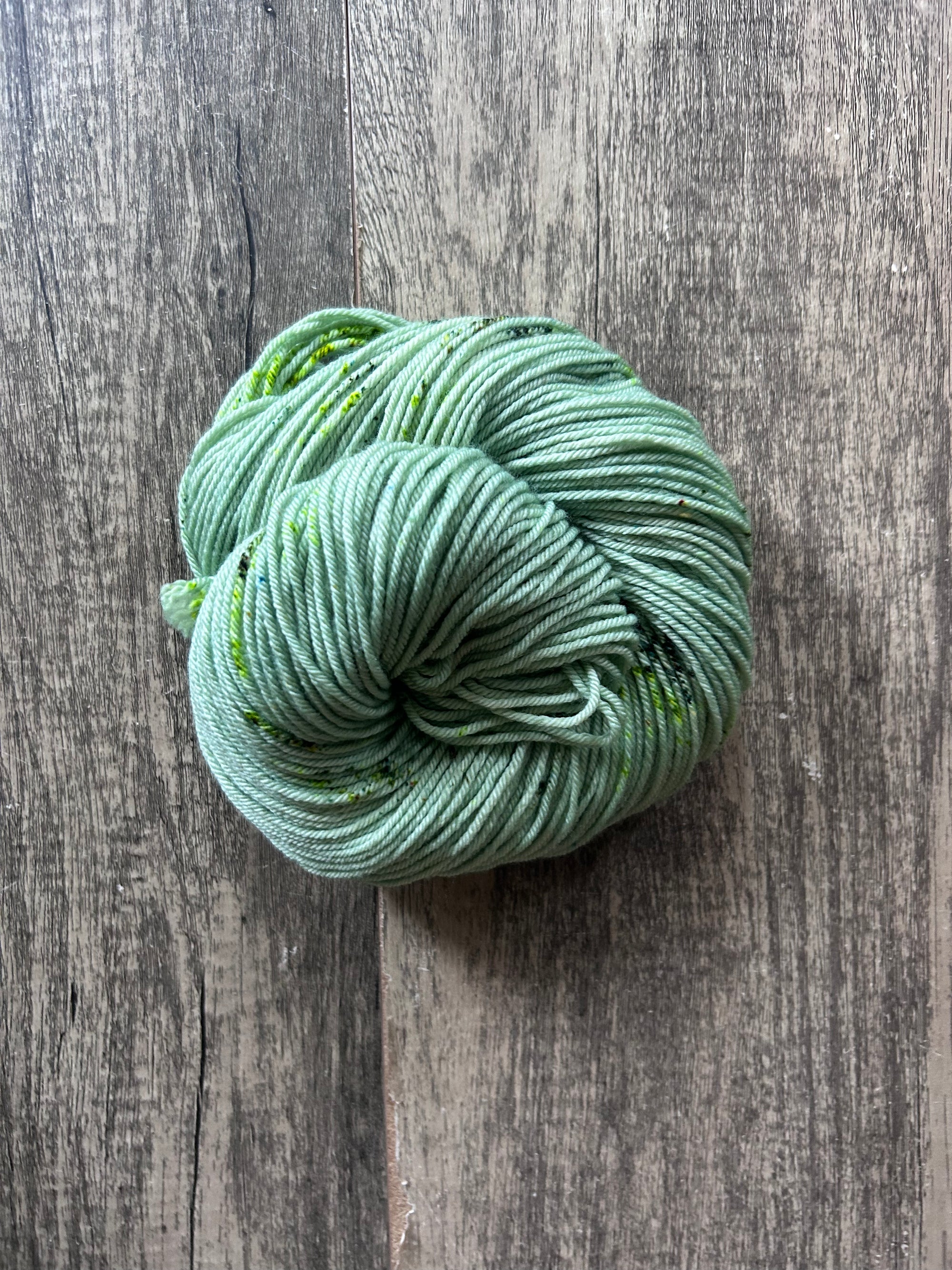 Foliage - DK 85/15 SW Merino/Nylon