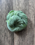 Foliage - DK 85/15 SW Merino/Nylon