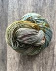 Dyepot Delight (OOAK) - Sock High Twist 85/15