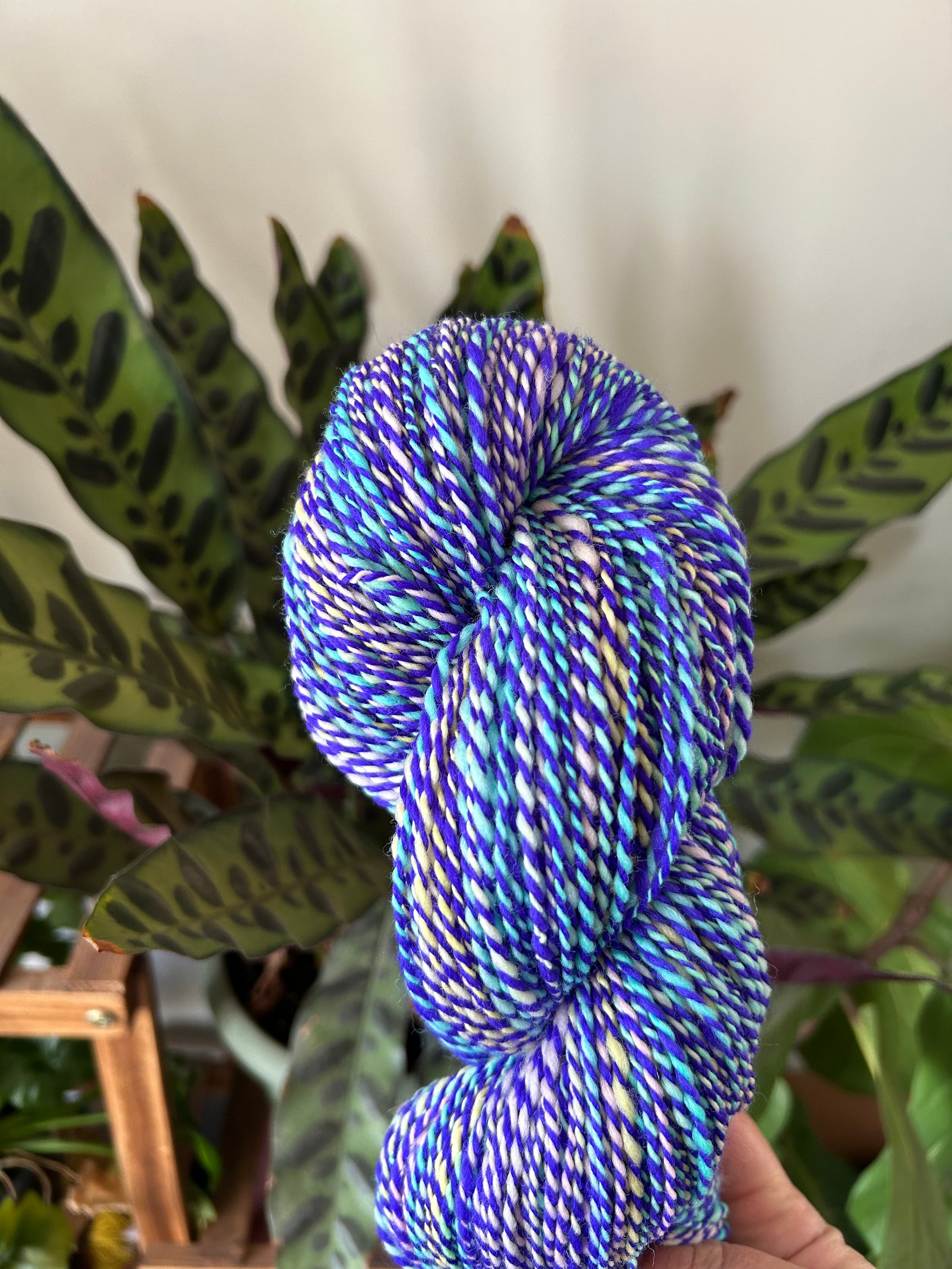 Cackle Berry -  Non SW Rambouillet Fibre