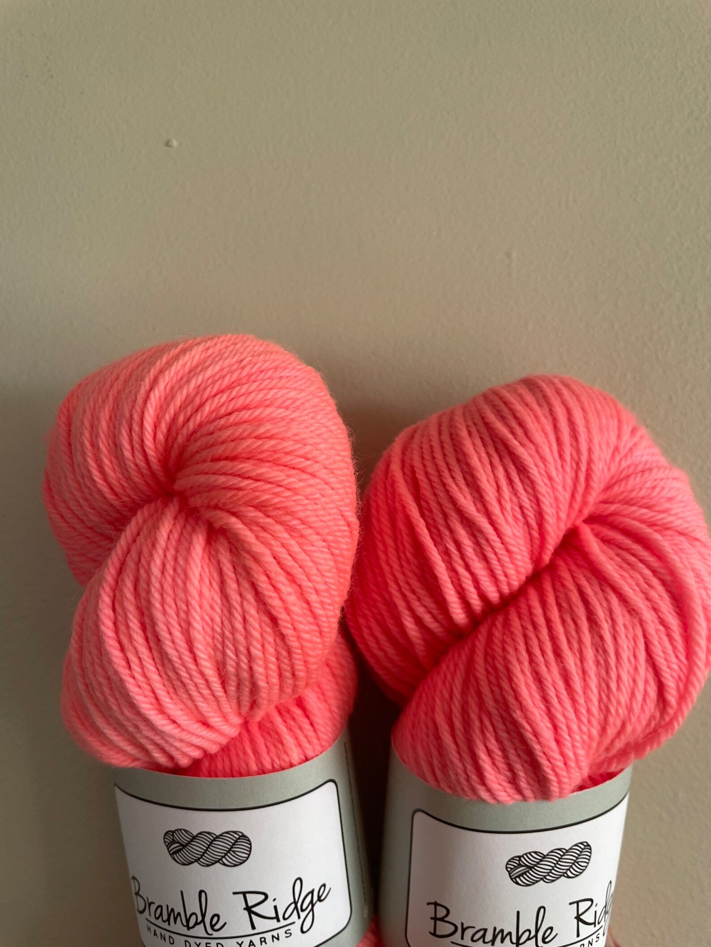 Hot Coral - DK 85/15 SW Merino/Nylon